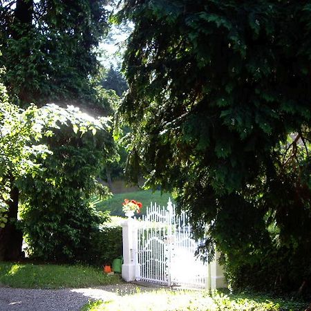 Villa Martha Badenweiler Extérieur photo