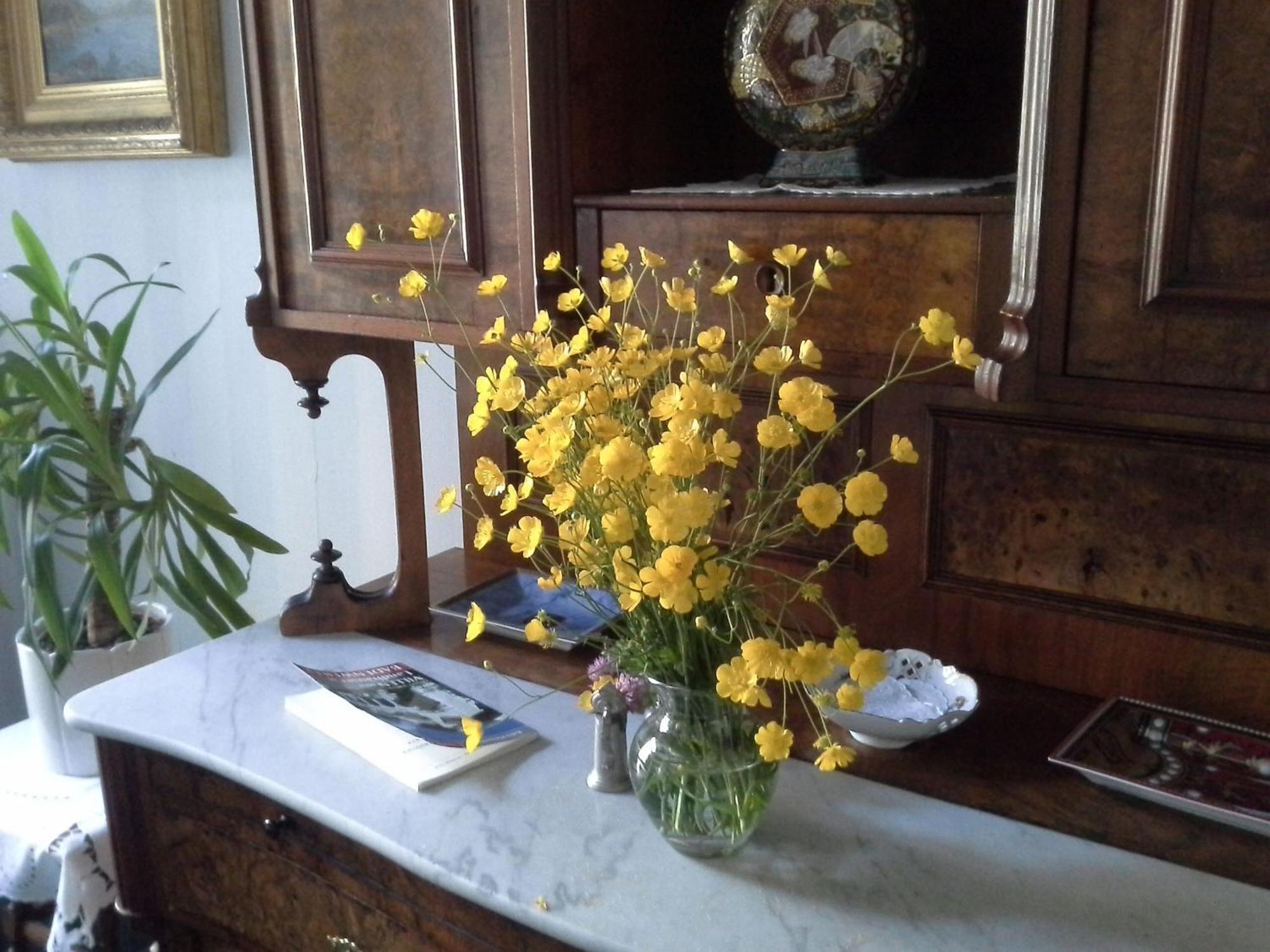 Villa Martha Badenweiler Extérieur photo